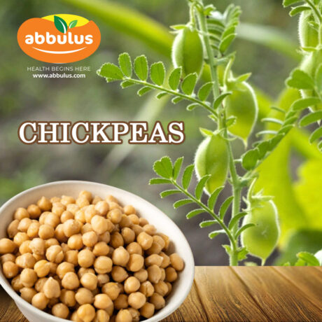 Chickpeas / White / கொண்டைக் கடலை 500 grams