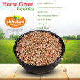 Horse-Gram-D