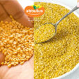 Moong-Dal-B
